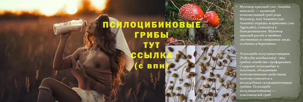 тгк Беломорск