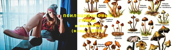 mix Белокуриха
