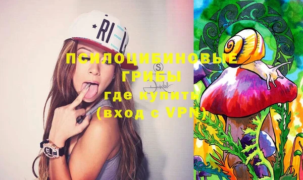 mix Белокуриха