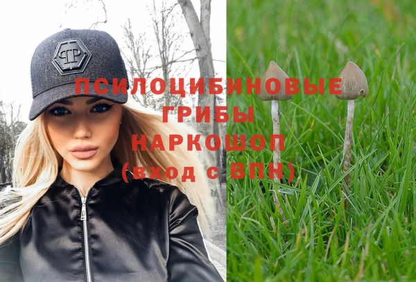 mix Белокуриха