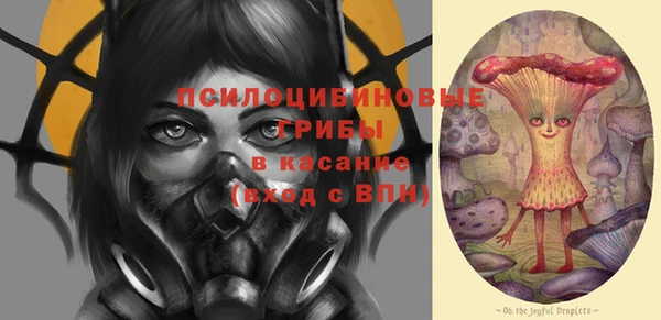 тгк Беломорск