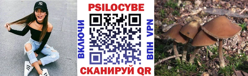 Галлюциногенные грибы GOLDEN TEACHER  Обь 