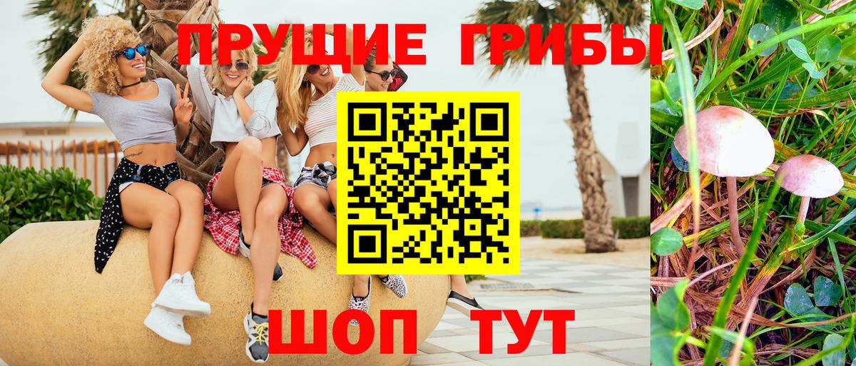 Псилоцибиновые грибы мухоморы  Вход с VPN  Обь  Псилоцибиновые грибы Psilocybe 