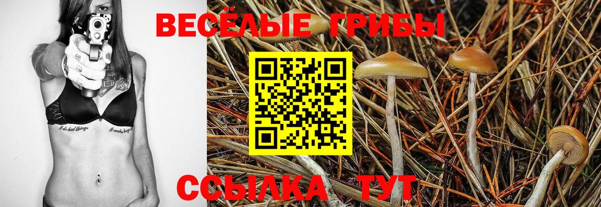Псилоцибиновые грибы мицелий Обь